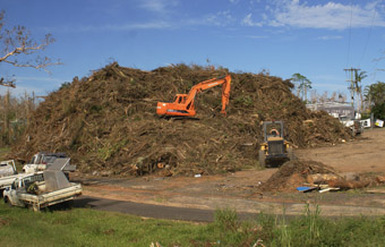  325,000 cubic metres of green waste removed