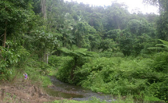 Mena Creek, Gorell Track