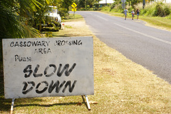 Locals ask traffic to slow down